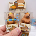 BORRACHA CAPIVARA FOFO MODELOS SORTIDOS