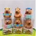 BORRACHA CAPIVARA FOFO MODELOS SORTIDOS