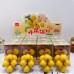 BORRACHA NÊSPERA LOQUAT