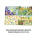 JOGO DE TABULEIRO UM DIA DIVERTIDO