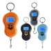 Balança Digital Portátil Gancho 50 Kgs para Mochila, Mala de Viagem, Peixes - C50255