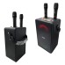 CAIXA DE SOM 2 MICROFONE AM8517