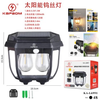 Lampada De Parede Indução Solar 20W