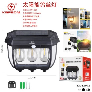 Lâmpada de Parede Indução Solar 30W