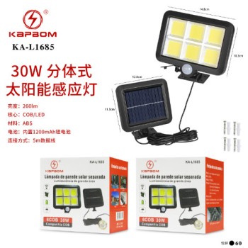 Luminária de Indução Solar 30W 