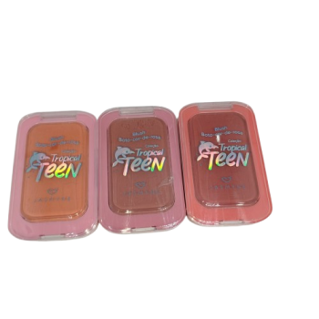 Blush Boto Cor de Rosa BOX C/24 Un Jasmyne
