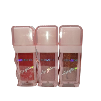 Lip Gloss BOX C/24 Un Labranche