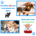 Talco para pets (banho a seco)